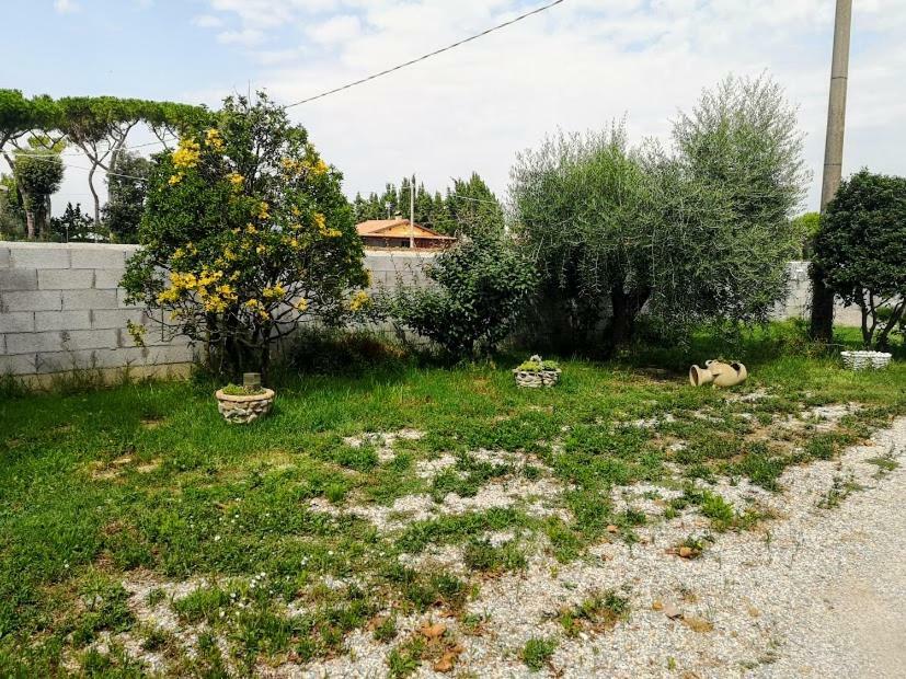 Hotel La California Marina Di Bibbona Zewnętrze zdjęcie